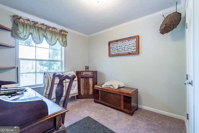 office space with ornamental molding, light carpet, and a textured ceiling