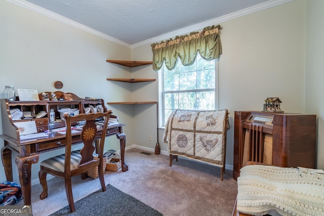 interior space with ornamental molding and a textured ceiling