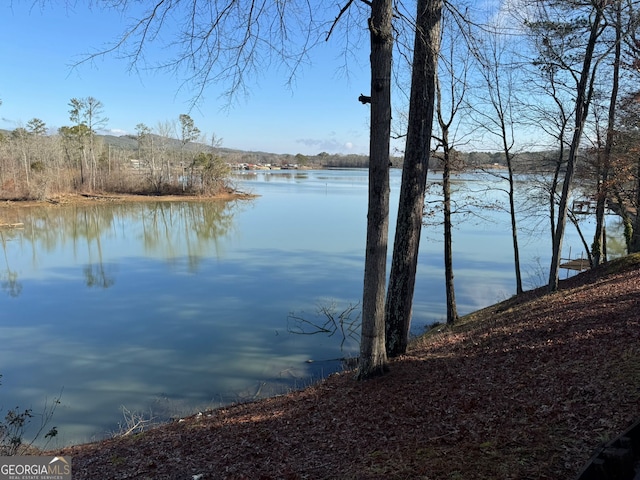 property view of water