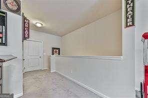 laundry area with light colored carpet