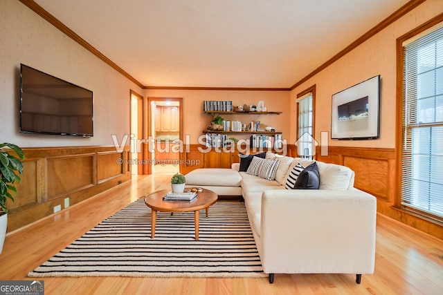 living room featuring crown molding, a wealth of natural light, and light hardwood / wood-style floors