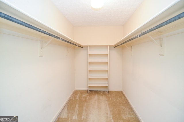 walk in closet with light carpet