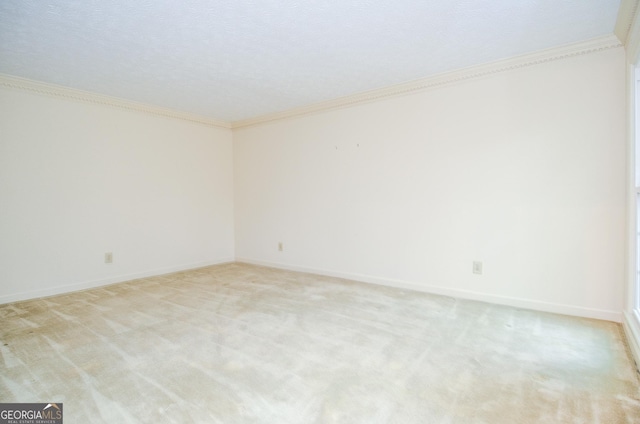 carpeted spare room with crown molding and a textured ceiling