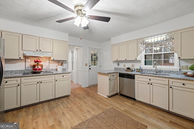 kitchen featuring stainless steel dishwasher and cream cabinetry