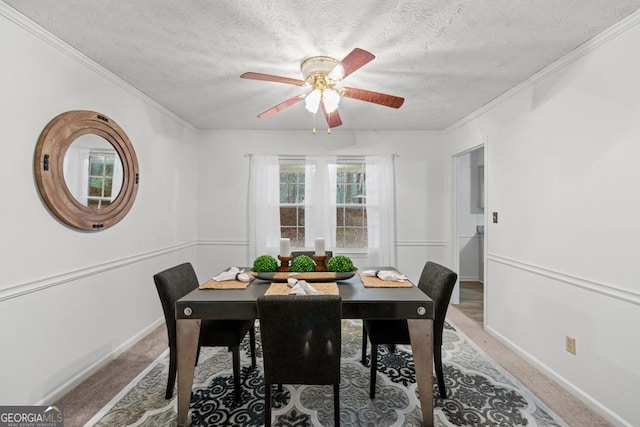 carpeted dining area featuring crown molding, ceiling fan, and a textured ceiling