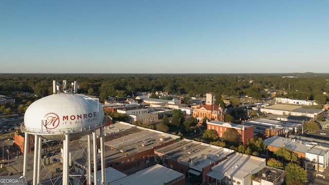 drone / aerial view