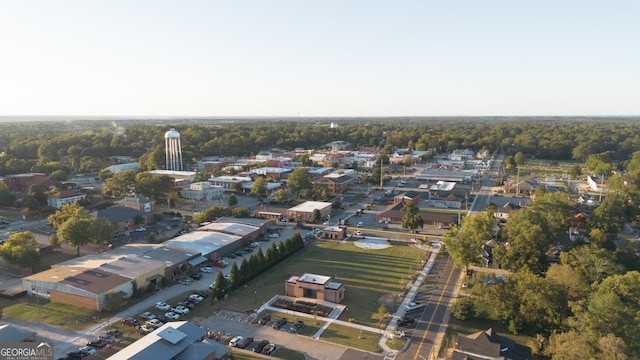 bird's eye view