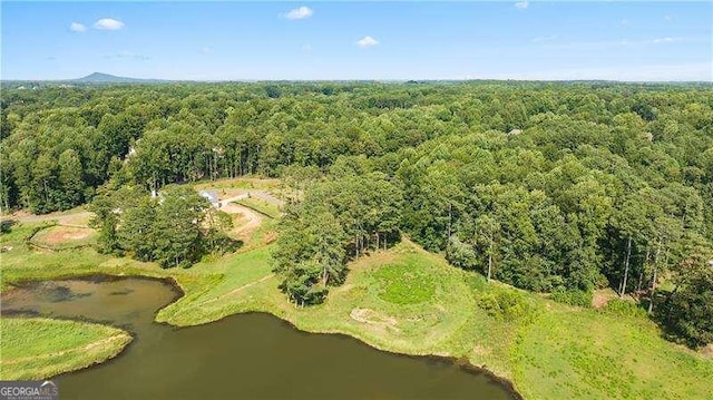 325 Lakeshore Rd, Milton GA, 30004 land for sale