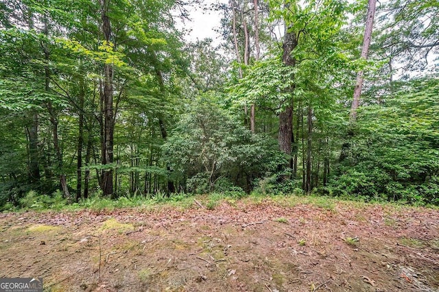 view of nature featuring a view of trees