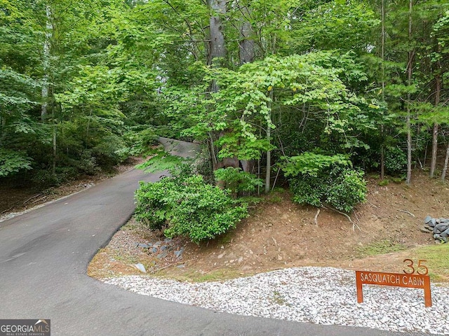 view of home's community featuring a view of trees