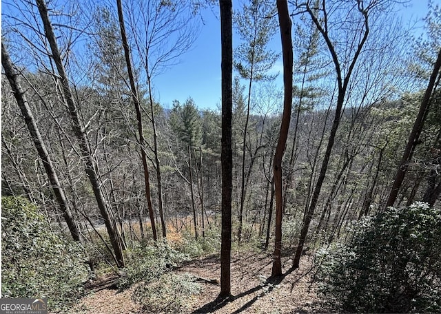 view of landscape with a forest view