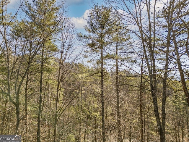 view of nature with a wooded view