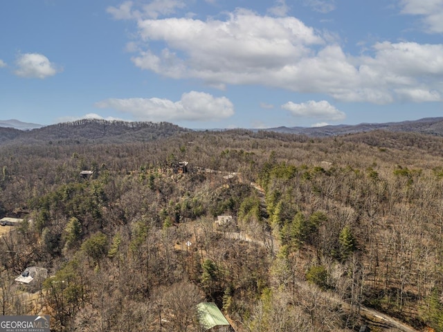 mountain view featuring a forest view