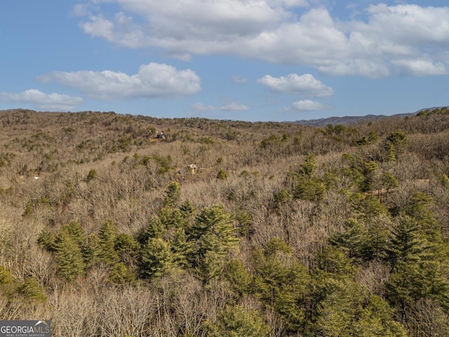 mountain view featuring a wooded view