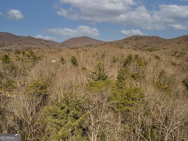 property view of mountains