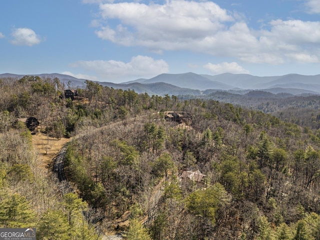 view of mountain feature