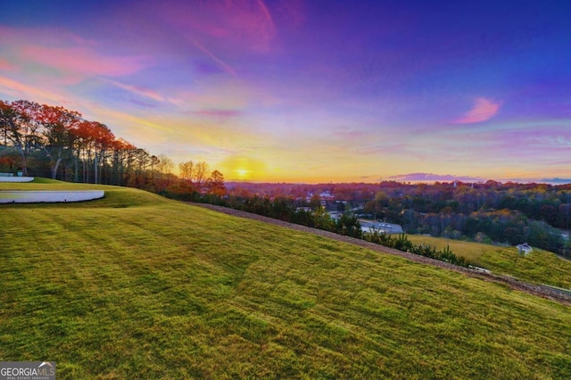 view of yard at dusk