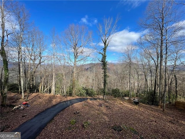 view of yard featuring a mountain view