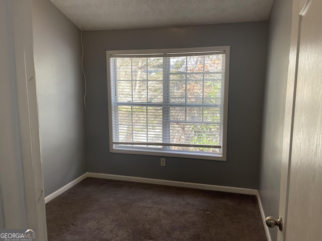 unfurnished room featuring a textured ceiling and carpet flooring