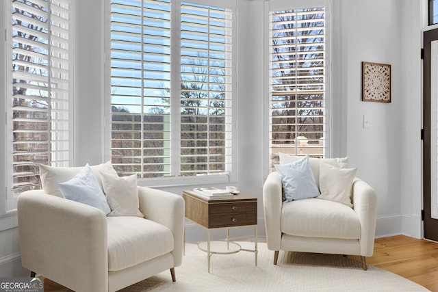 sitting room featuring light wood-type flooring