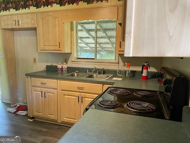 kitchen featuring sink, light brown cabinets, dark hardwood / wood-style floors, and electric stove