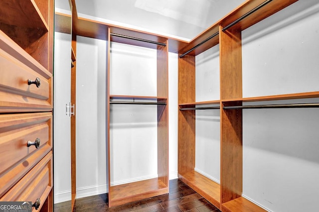 walk in closet with dark hardwood / wood-style floors