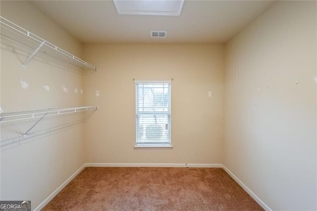 spacious closet with carpet