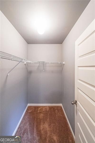 walk in closet featuring carpet flooring