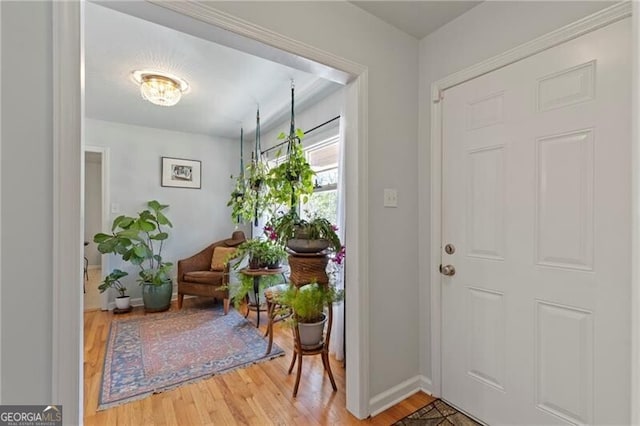 foyer with wood-type flooring