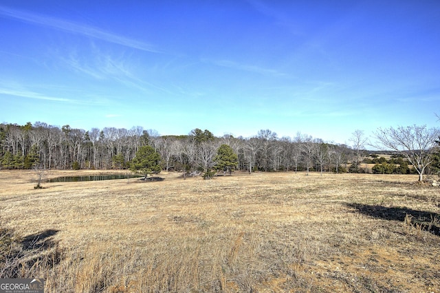 view of local wilderness with a rural view