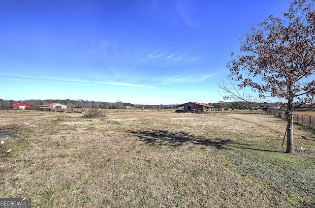 view of yard with a rural view