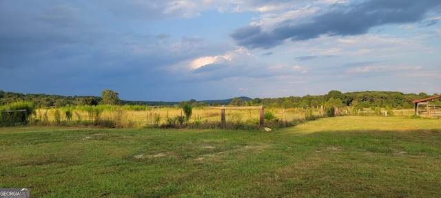 view of yard featuring a rural view