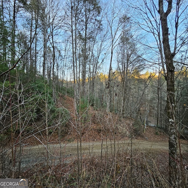 Listing photo 2 for 3409 Flagpole Rd, Ellijay GA 30540