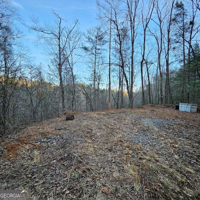 Listing photo 3 for 3409 Flagpole Rd, Ellijay GA 30540