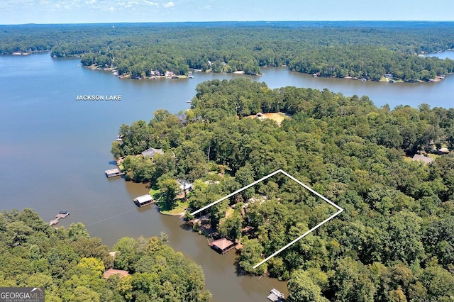 bird's eye view with a forest view and a water view