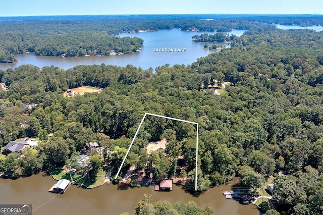 aerial view with a water view and a wooded view