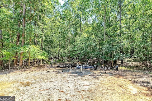 view of local wilderness with a forest view