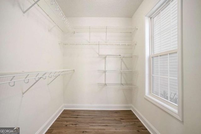 walk in closet with dark hardwood / wood-style flooring