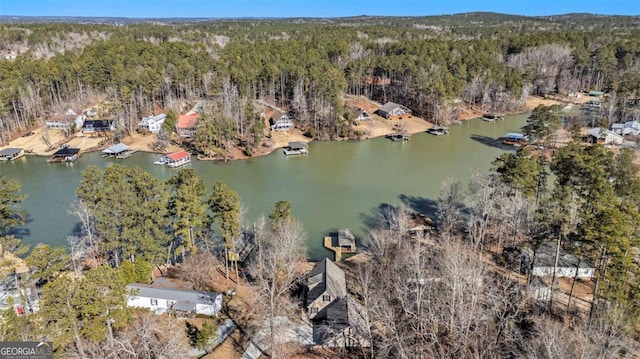 bird's eye view featuring a water view