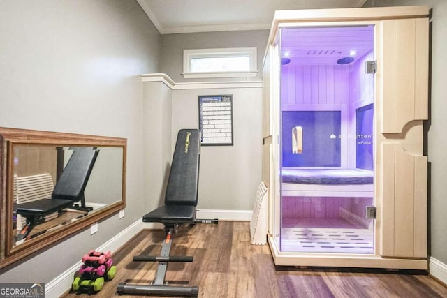 exercise area featuring crown molding and dark hardwood / wood-style floors