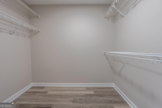 spacious closet featuring wood-type flooring