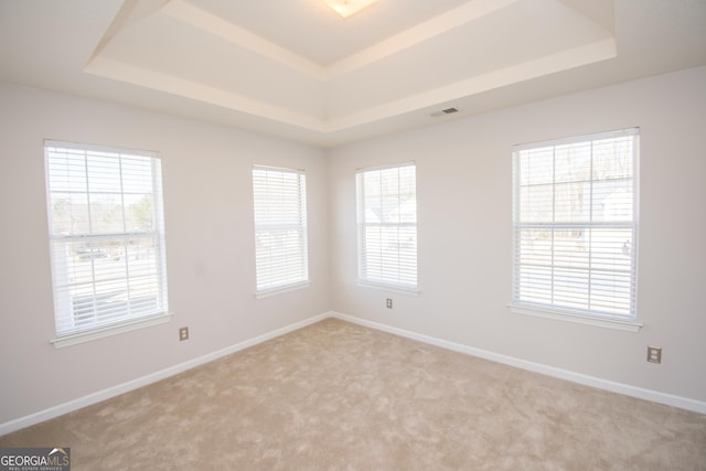 spare room featuring light carpet and a tray ceiling