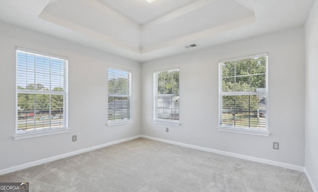 spare room with a raised ceiling and light carpet