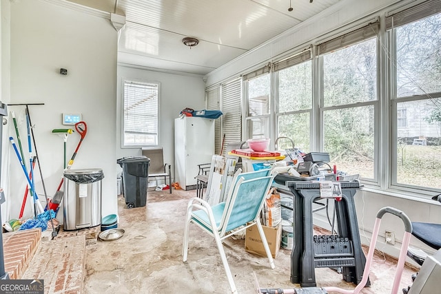 recreation room featuring ornamental molding