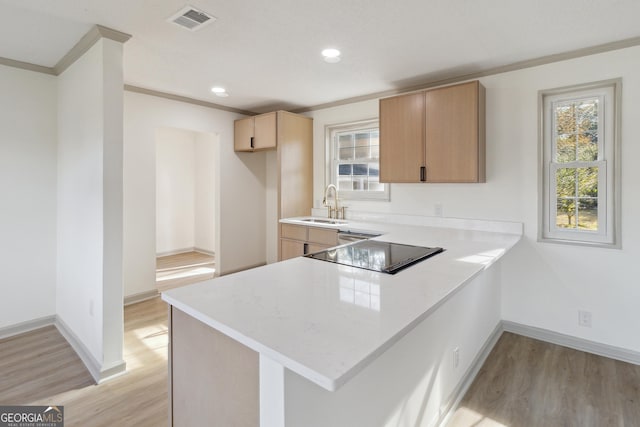 kitchen featuring sink, plenty of natural light, kitchen peninsula, and black electric stovetop