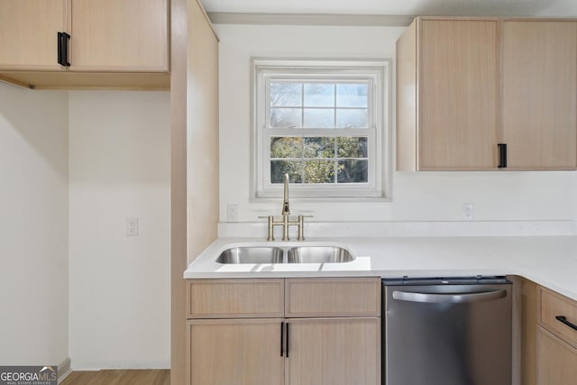 kitchen featuring sink, stainless steel dishwasher, and light brown cabinets