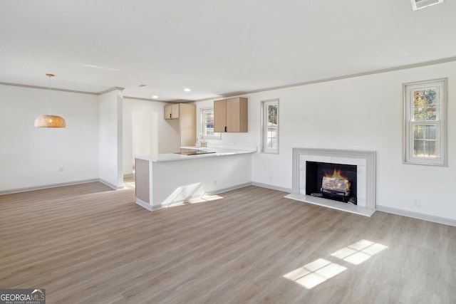 unfurnished living room with sink, crown molding, and light hardwood / wood-style floors