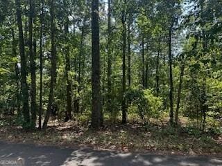 Listing photo 3 for 0 Rockhouse Rd, Waleska GA 30183