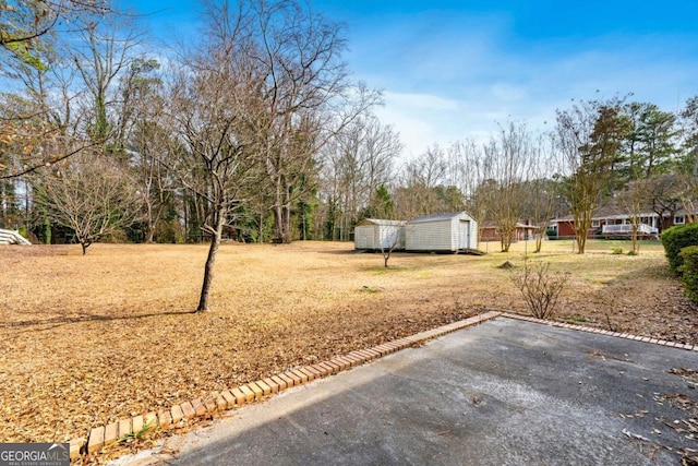 view of yard with a patio and a shed