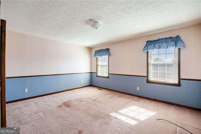 unfurnished room with light colored carpet and a textured ceiling